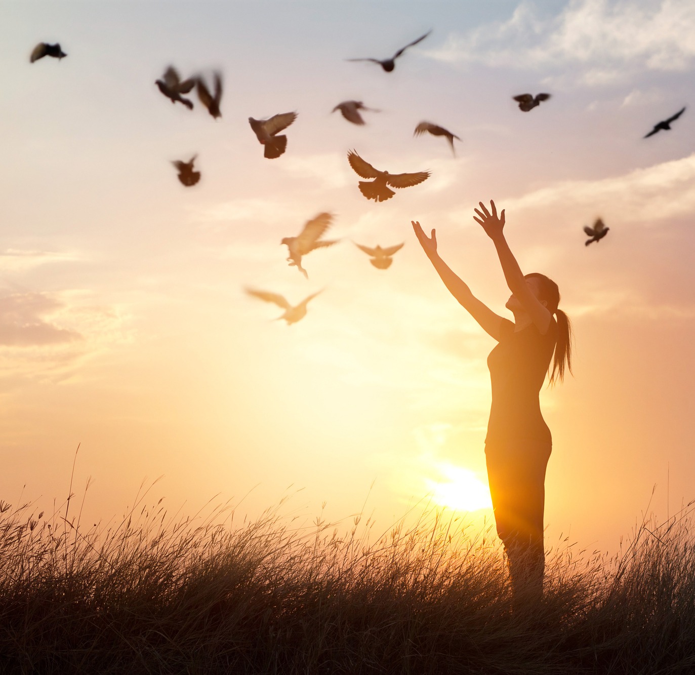 Woman praying and free bird enjoying nature on sunset background, hope concept